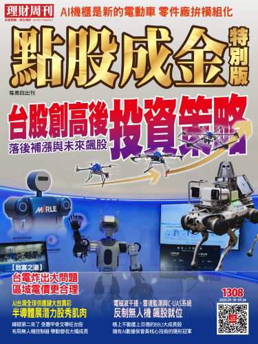 第1308期 點股成金